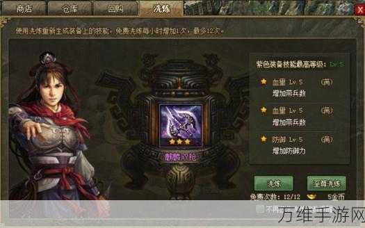 手游攻略,揭秘攻城掠地高效洗套装技巧,助你称霸战场