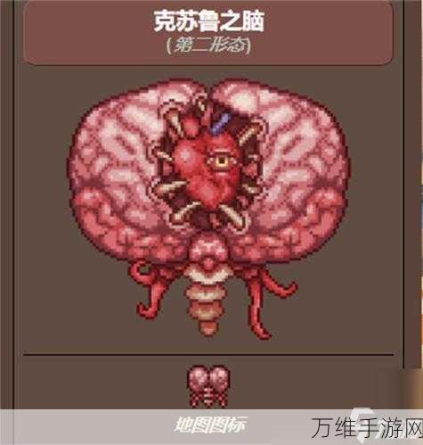 泰拉瑞亚探险揭秘,克鲁苏之脑掉落宝藏与召唤物合成全攻略