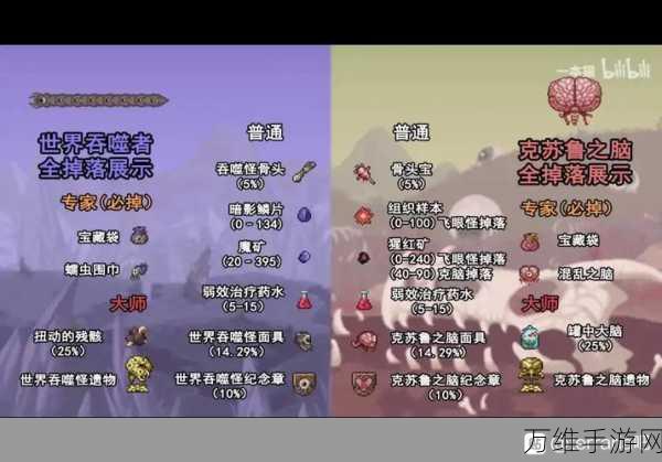 泰拉瑞亚探险揭秘,克鲁苏之脑掉落宝藏与召唤物合成全攻略