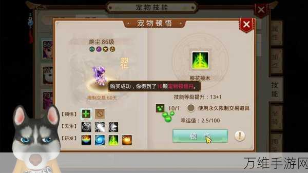 手游攻略大揭秘,问道天技灵现全攻略与实战技巧