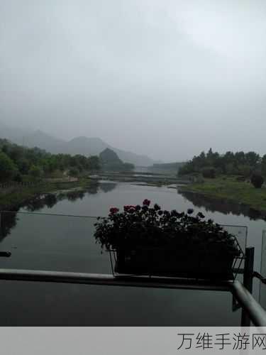 畅玩 2048 节奏安卓版,趣味休闲之旅等您开启