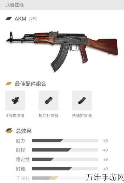 绝地求生枪械精选,制胜战场的顶级武器推荐
