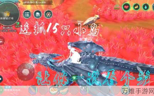 创造与魔法深度攻略,云斑鹦鸟饲料制作秘籍与刷新机制全解析