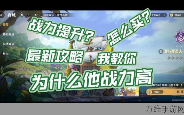 航海王壮志雄心深度攻略,全面掌握属性查看与提升秘籍