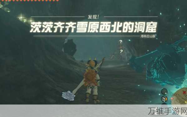 茨茨齐齐雪原鸟望台解锁全攻略,探索未知领域的秘密通道