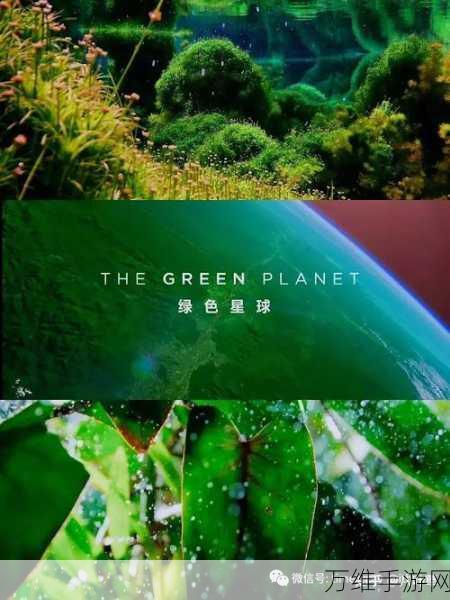 稀有植物搜集攻略,创造吧!我们的星球绿色宝藏探寻之旅