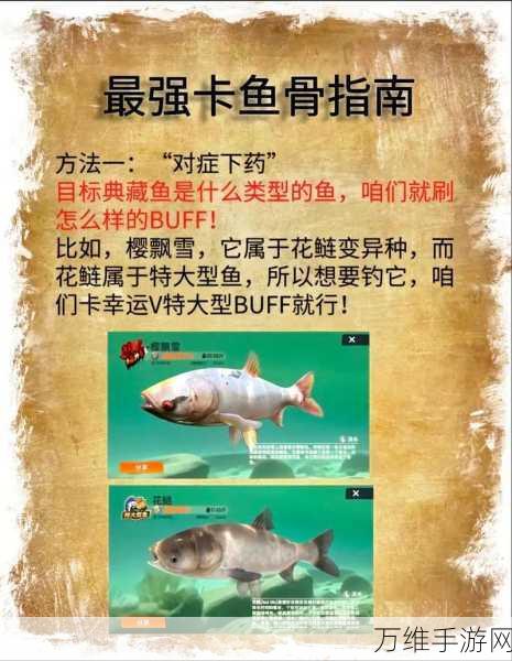 欢乐钓鱼大师,官方下载入口及精彩赛事全解析