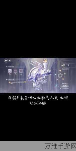 手游攻略,揭秘诸神皇冠血脉提纯秘籍,打造最强血脉战士!