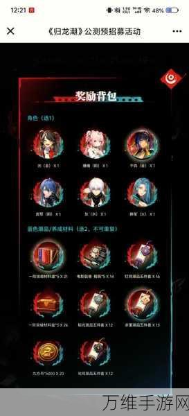 归龙潮策略指南,解锁支援位与输出位的最优选择