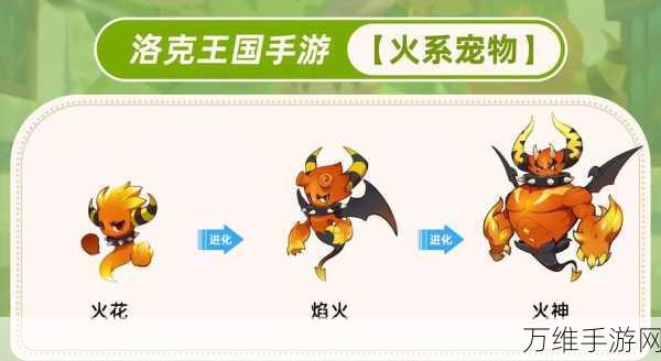 洛克王国珍稀宠物疯狂大灰猫获取全攻略