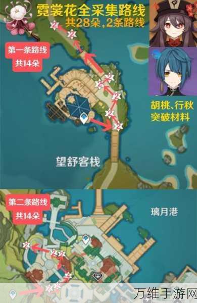 原神霓裳花刷新机制全解析,精准掌握采集时机!