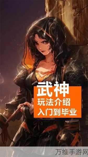 DNF大转移后武神全面解析,技能调整、玩法变化与实战表现