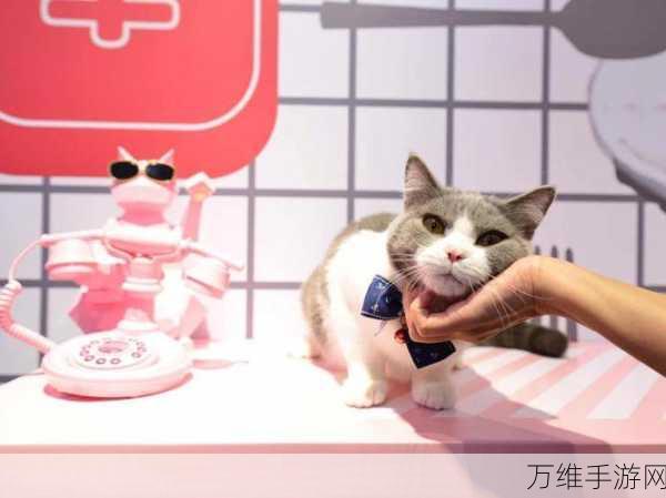 功夫猫,像素世界里的喵星人奇妙冒险之旅