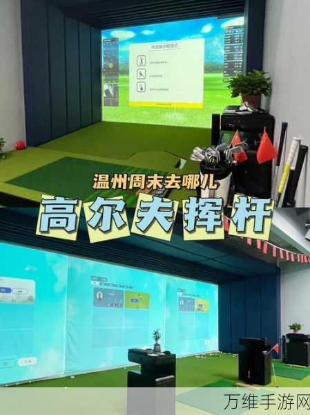 畅玩高尔夫,与友竞技的刺激挑战之旅