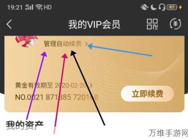 爱奇艺手游会员自动续费取消攻略,轻松管理你的游戏消费
