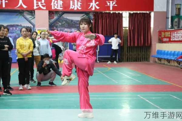 太极套在手,金庸群侠传X中能否独步江湖?深度解析太极套强度与武功搭配