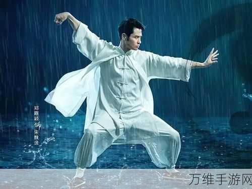 太极套在手,金庸群侠传X中能否独步江湖?深度解析太极套强度与武功搭配