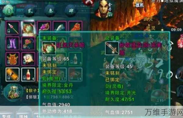 忘仙手游精品羽化石使用攻略,解锁神级装备,称霸仙界不是梦!