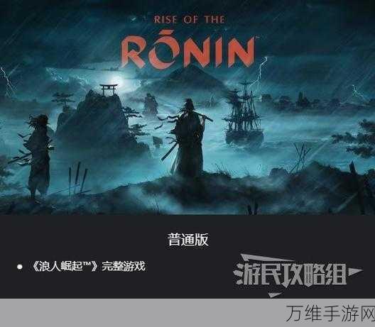 浪人崛起官网揭秘,一键直达,探索全新格斗盛宴!