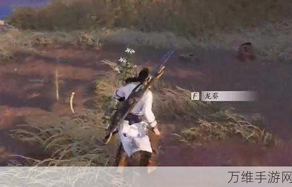 手游秘籍大公开,燕云十六声杏花不见珍稀道具获取全攻略