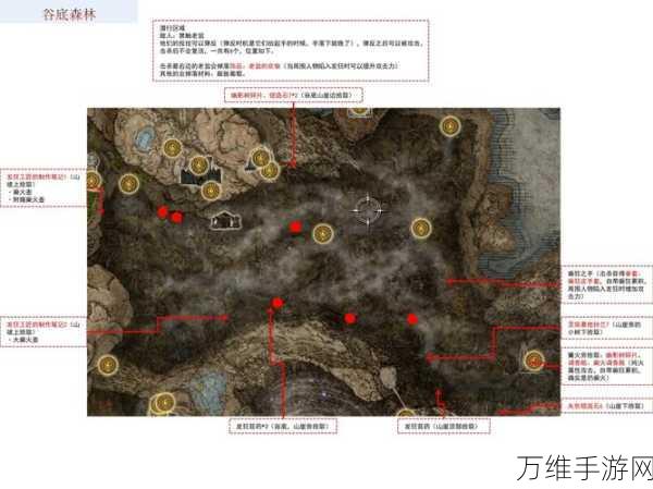 艾尔登法环DLC深度攻略,揭秘黄金树之影前期17个幽影树碎片全收集路径