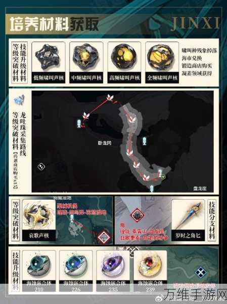 鸣潮武器奇幻变奏,全面解析培养材料与获取攻略