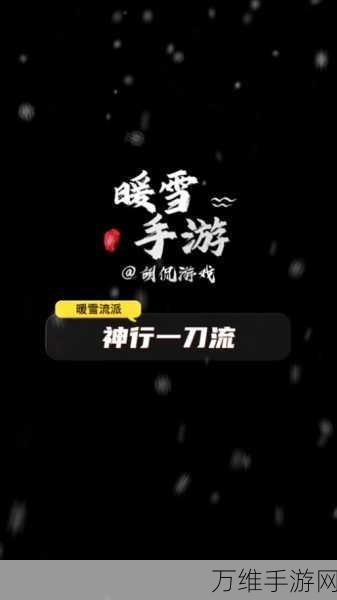 暖雪手游深度攻略,雷一迅影流派实战技巧与流派解析