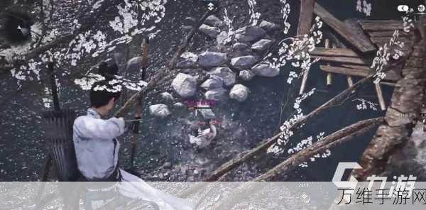 燕云十六声大鹅争锋任务流程详细介绍