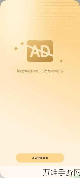 2023迅雷会员共享账号使用全攻略,解锁高速下载新体验!