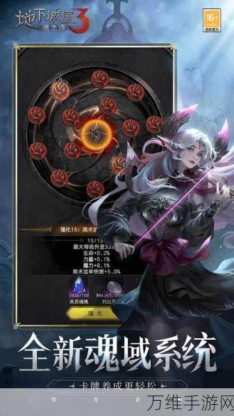 地下城堡3,魂之诗新手入门全攻略,助你快速成长!