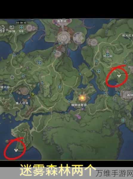 探秘塔瑞斯世界,安卡什峡谷宝箱全攻略,解锁稀有奖励秘籍