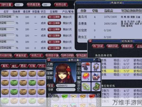 梦幻西游2024五开组合终极攻略,从零级起飞,打造最强阵容!