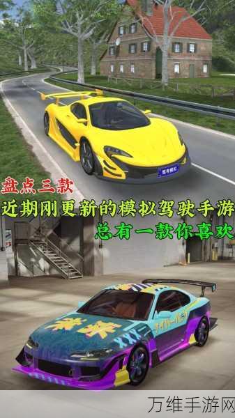 驾校模拟训练,畅享极致驾驶乐趣的手游