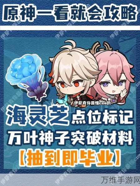 手游鸣潮舒云秘制凉茶,配方获取与材料点位全攻略