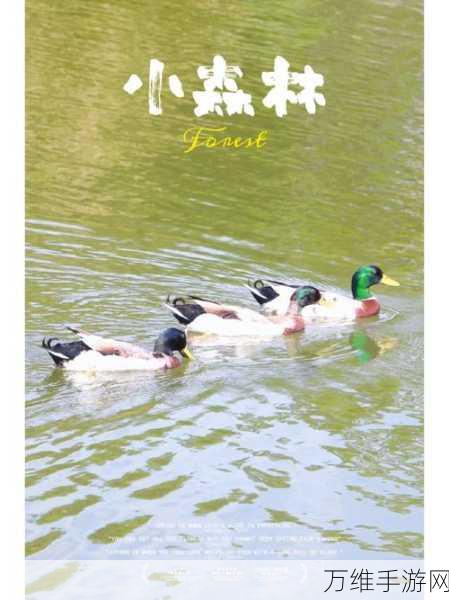 大自然摄像师,治愈心灵的休闲手游下载指南