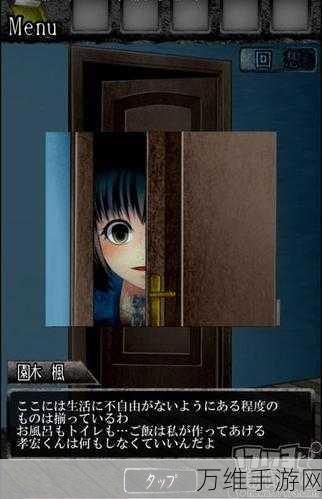 病娇鸣泣之时安卓版,惊心动魄的解谜冒险之旅
