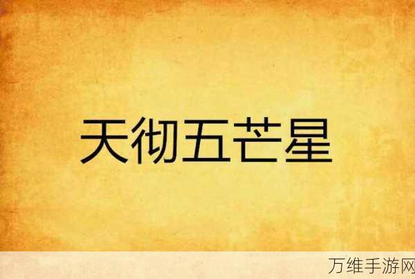 芒彻先生,刺激无限的敏捷挑战之旅