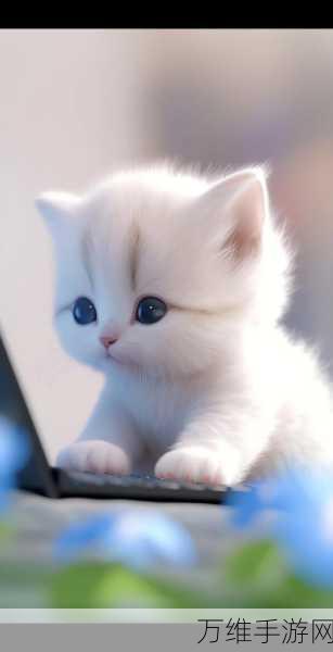 猫咪小舍,安卓萌系猫咪养成经营之旅