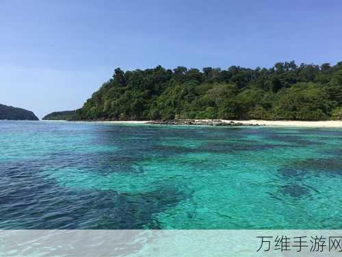 畅玩岛屿收购无限金币版,体验超有趣塔防休闲之旅