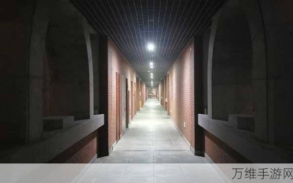 无尽回廊新手攻略,轻松跨越前期难关,迈向高手之路