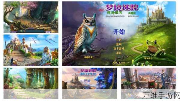 秘密盟会最新版,令人沉浸的图片解谜之旅