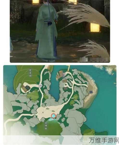 手游攻略,揭秘射雕万安寺地图解锁秘籍