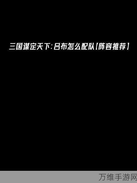 手游攻略,大王不好啦!新手吕布阵容搭配与配队策略揭秘