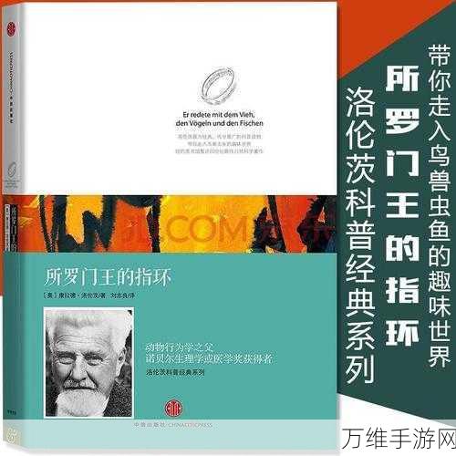 莎雯技能全解析,动物森林法则中的策略王者