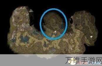 博德之门3,揭秘魔网兜帽的隐藏位置与获取攻略