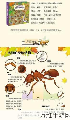 宝宝认蚂蚁安卓版,趣味幼儿知识科普手游指南