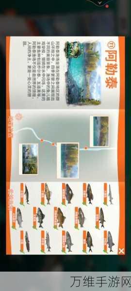 手游秘籍大公开,欢乐钓鱼大师甩杆绝技与赛事详解