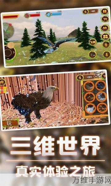 猎鹰之旅,手机版震撼来袭,畅享动物模拟盛宴