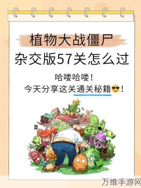 植物大战僵尸资深玩家揭秘，挑战模式第56关极限通关攻略