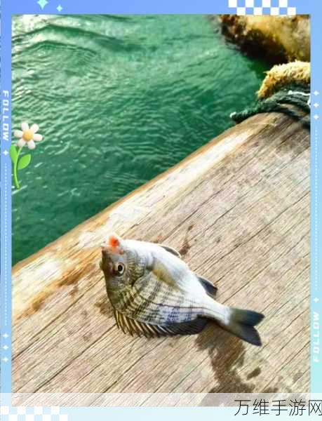 Fishing Talent,畅享休闲钓鱼之旅,下载开启精彩